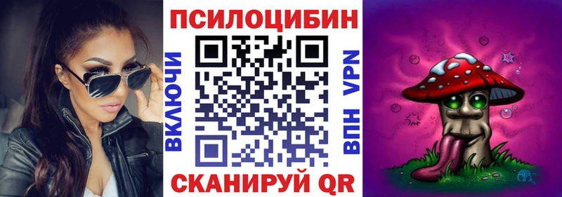 Галлюциногенные грибы Psilocybe  купить закладку  Фокино 